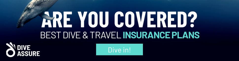 A banner that says you cover for travel insurance.