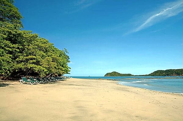 A sandy beach with trees and water in the background.