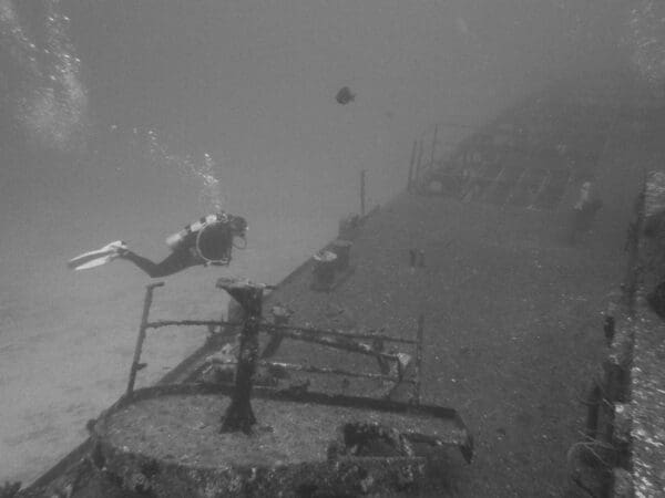 A black and white photo of divers in the ocean.