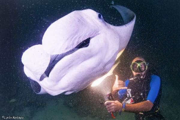 A man in scuba gear holding onto a fish