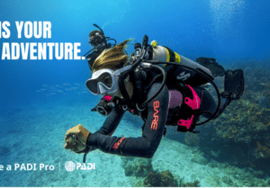 A scuba diver is in the water with his hands on his chest.