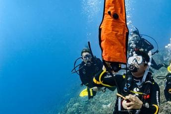 A man in scuba gear is looking at the camera.