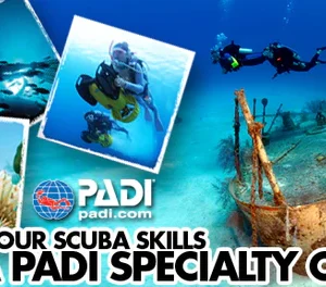 A collage of scuba diving images with text.