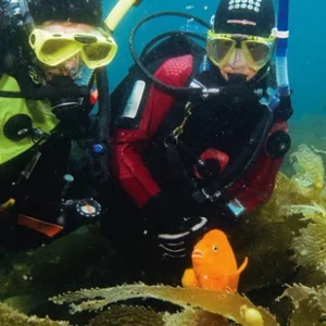 Two people scuba diving in the ocean with a fish.