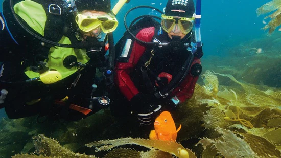 Two people scuba diving in the ocean with a fish.