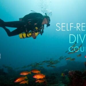 A person in scuba gear swimming under the water.