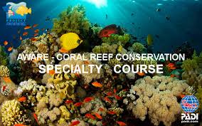 A coral reef with text that reads " where-coral reef conservation specialty courses."