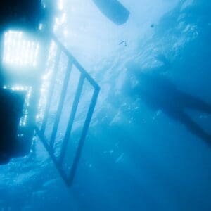 Diver swims under a boat ladder.