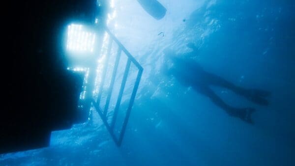 Diver swims under a boat ladder.