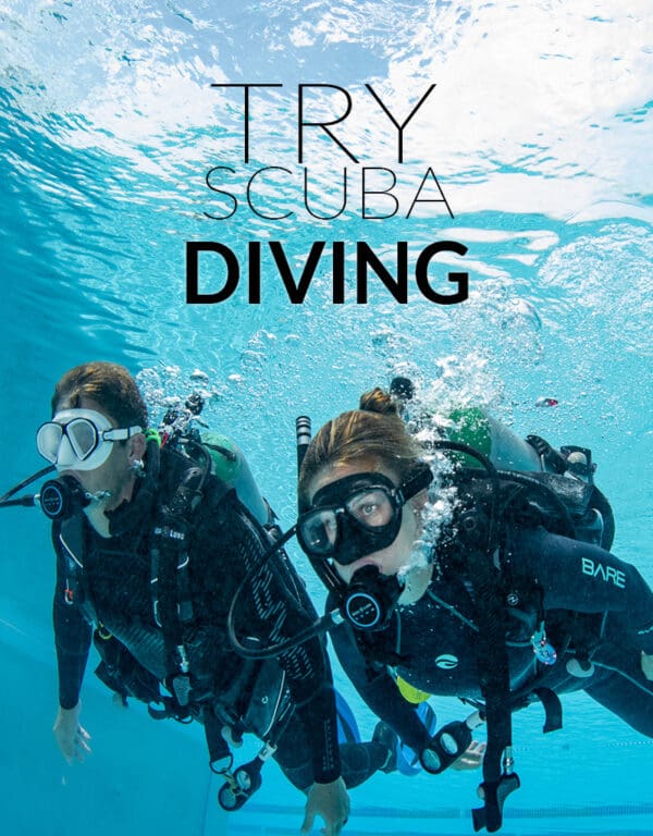 Try Scuba Experience