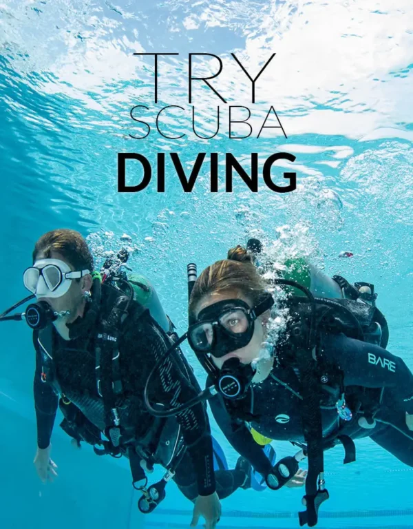 Two scuba divers underwater; try scuba diving.