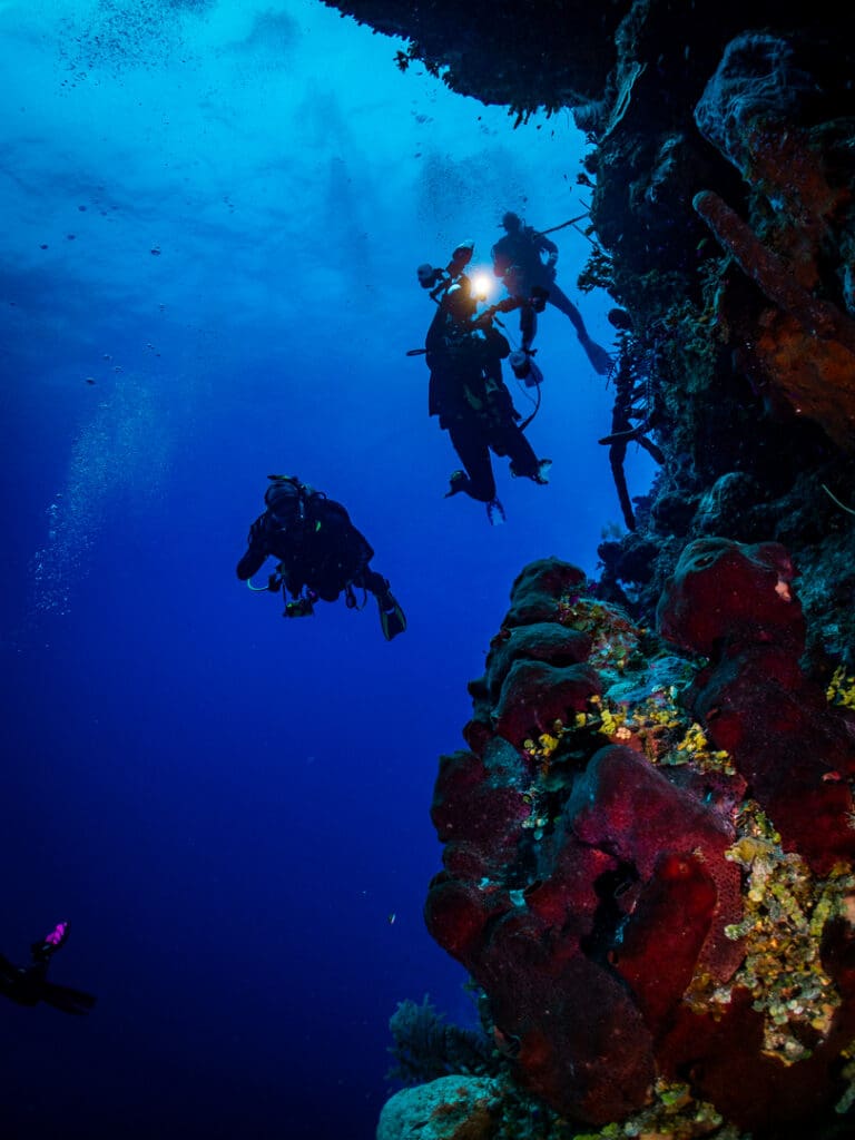 A group of scuba divers swimming in the ocean.