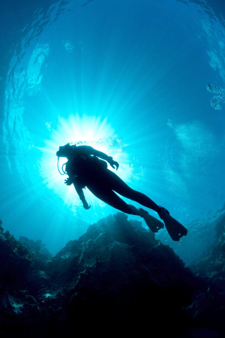 A person in the water with sun shining through