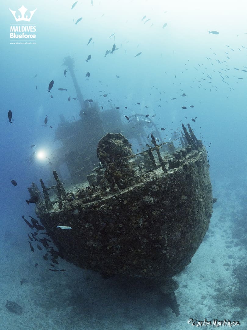 A ship is shown in the ocean with debris.