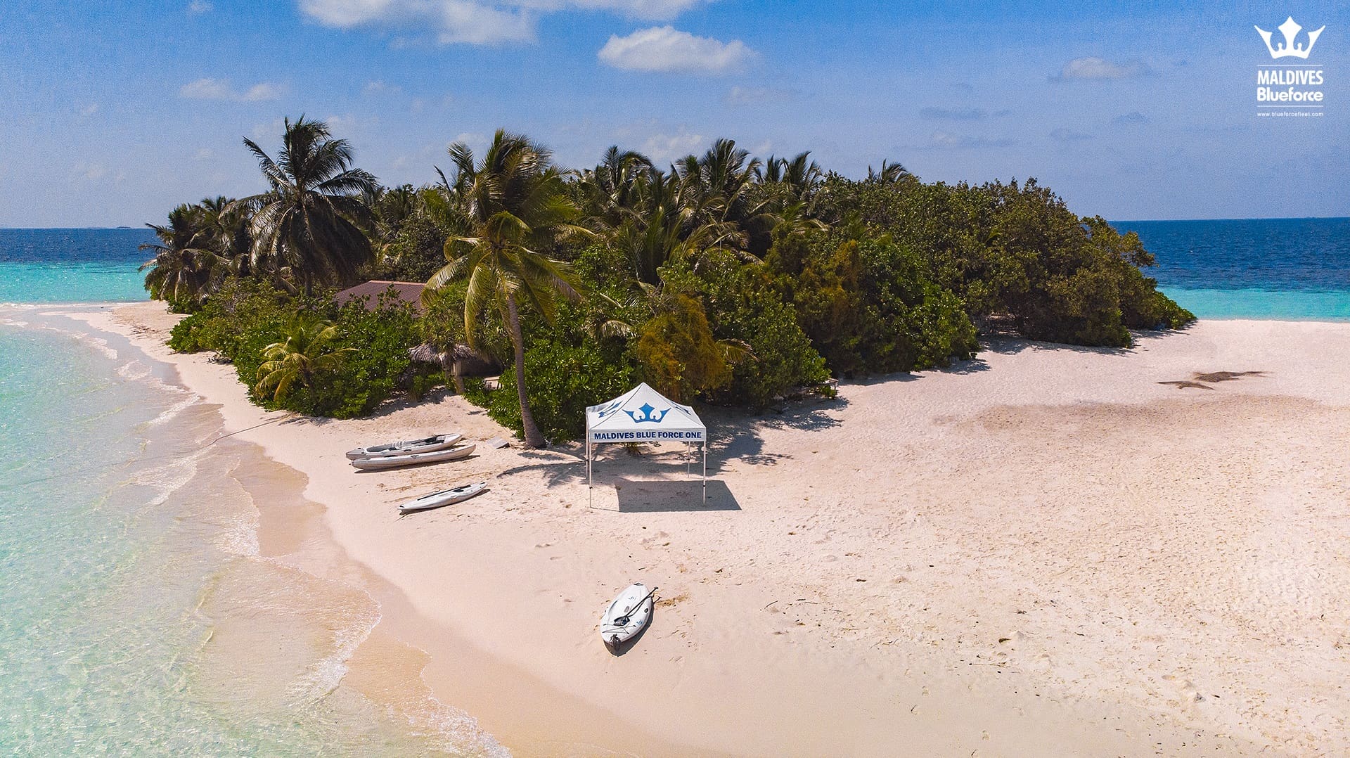 A boat is parked on the beach near some trees.