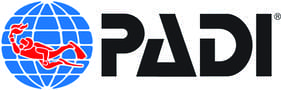 A black and white logo of the company spav.