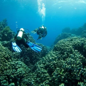 Two scuba divers swimming over a coral reef.