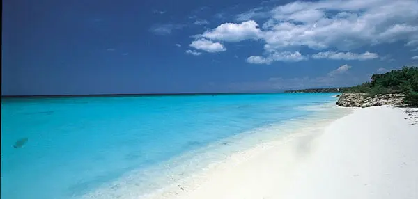 Turquoise water meets white sand beach.