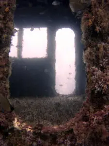 Shipwreck interior with fish and light.