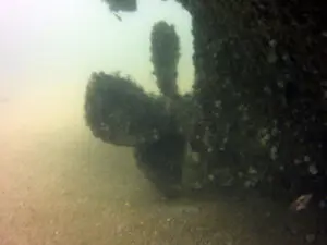 Underwater view of a ship propeller.