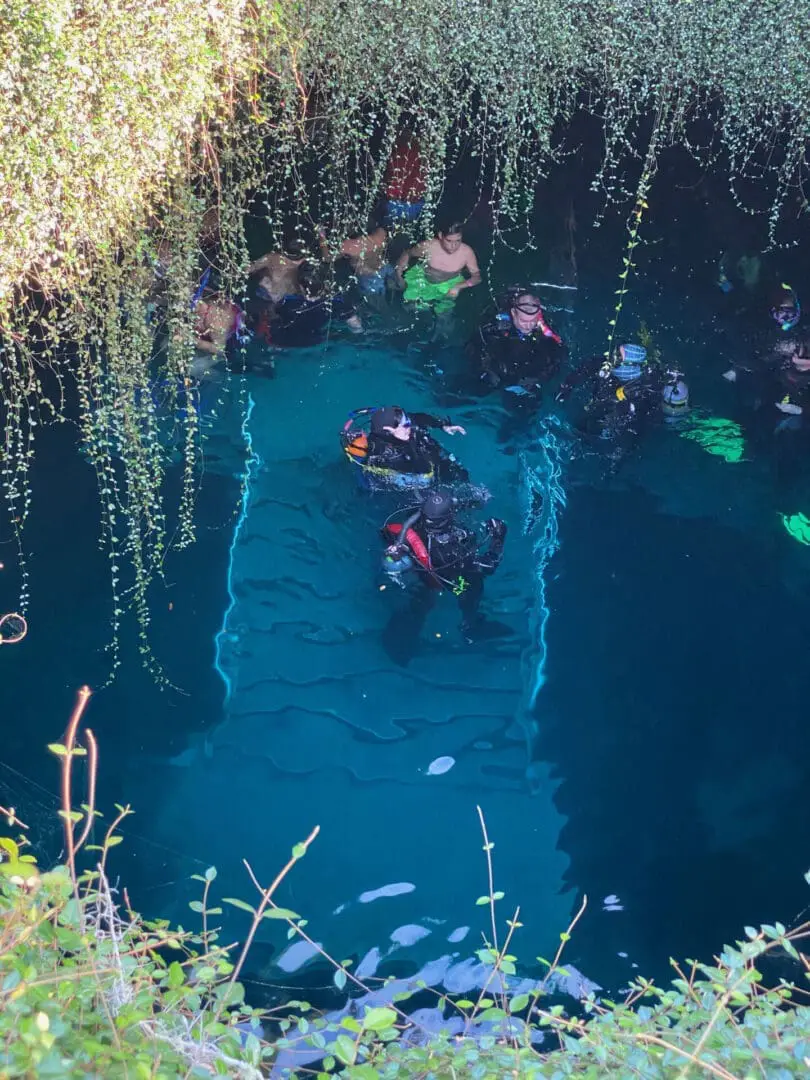 Divers exploring a cenote's blue water.